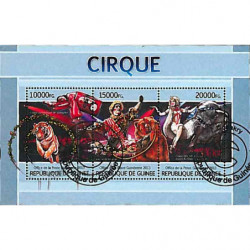 Cirque cirque