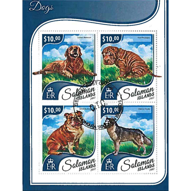 Salomon Yvert N° Satsal 623 New