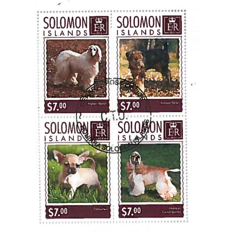 Salomon Yvert N° Satsal 621new