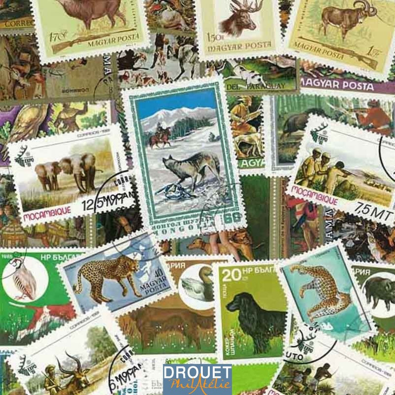 50 Timbres Différents