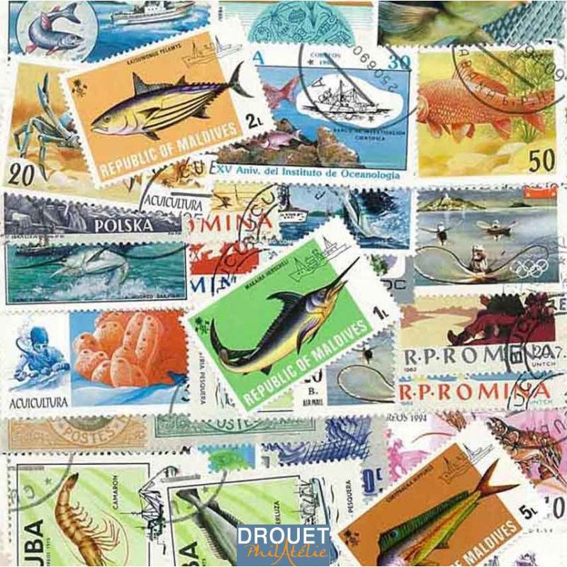 50 Timbres Différents