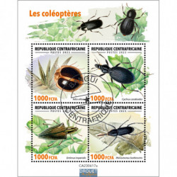 Les coléoptères