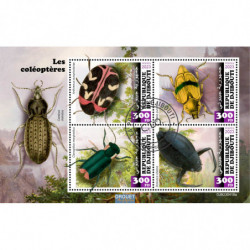 Les coléoptères
